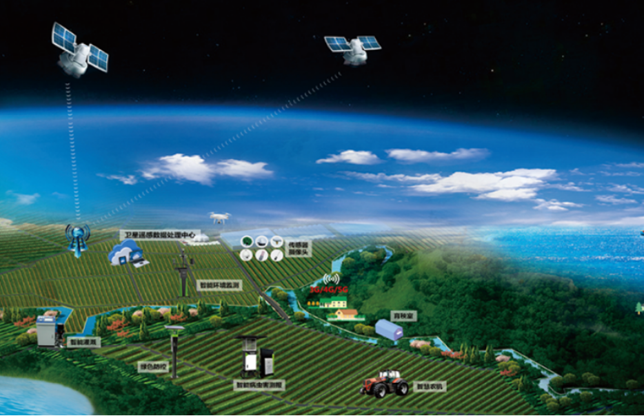 ȫ��������ũ��