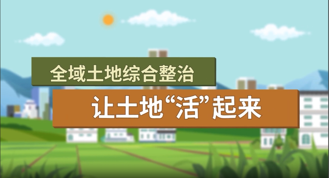 ȫ�������ۺ�����