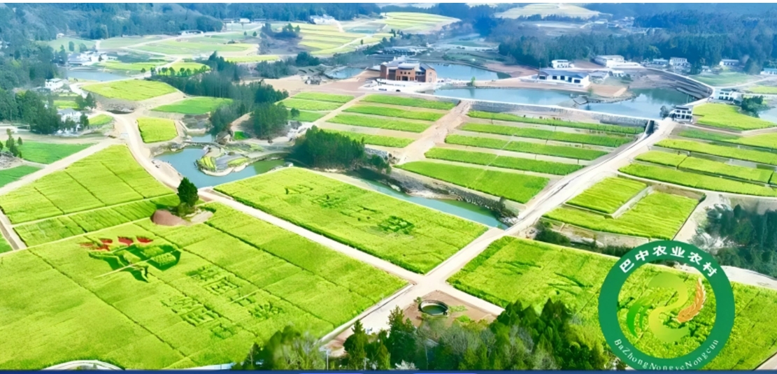 �߱�׼ũ�ｨ��